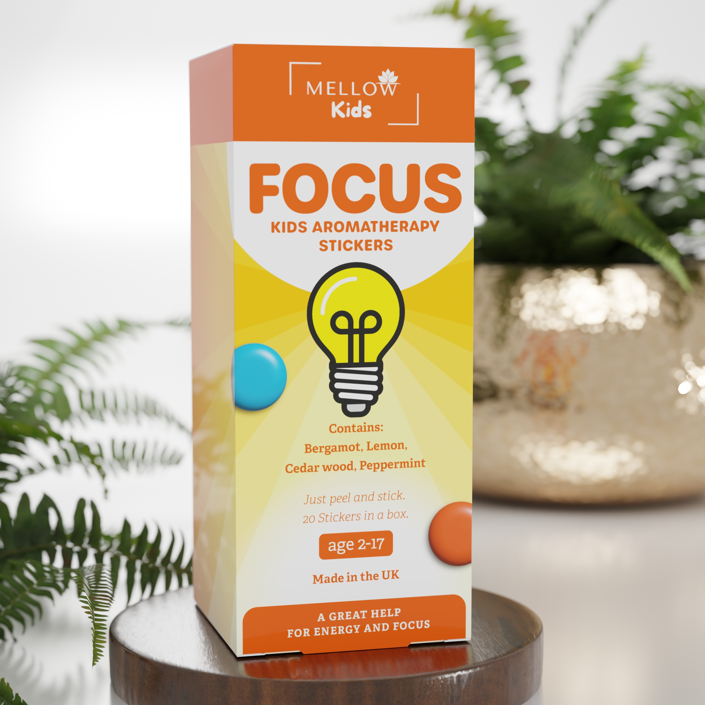 Focus for Kids